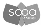 logo de sooa conseil